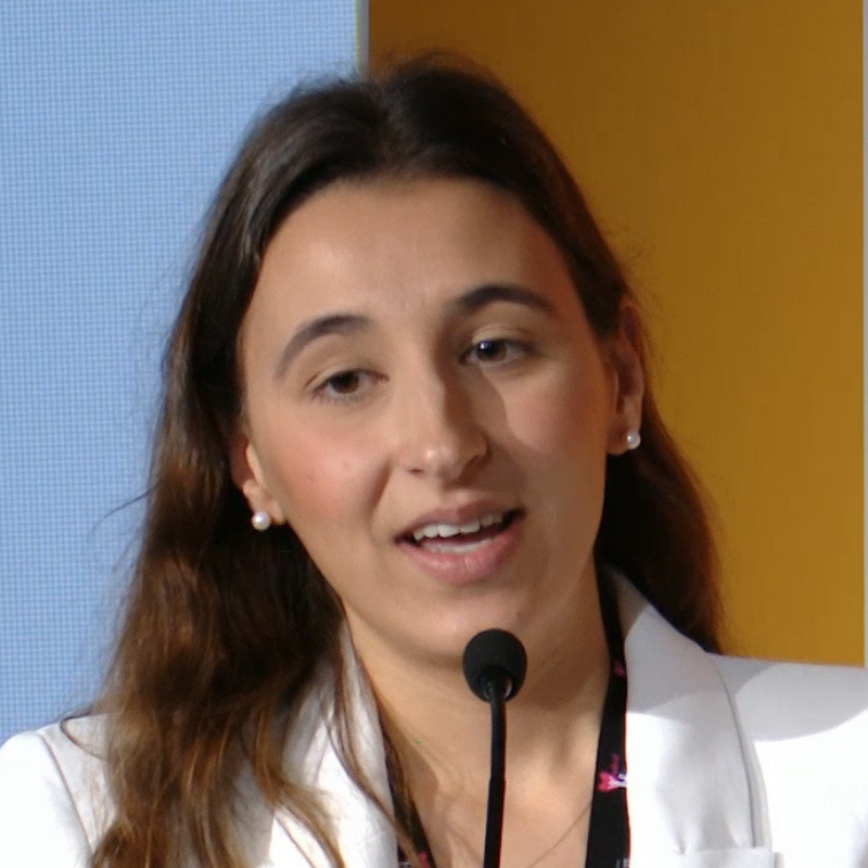 Irene Torres Chillerón